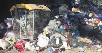 В "мусорном" департаменте Львовского горсовета выявили нарушения на 144 млн грн