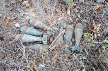 У дороги в Донецкой области пограничники обнаружили тайник с минометными минами