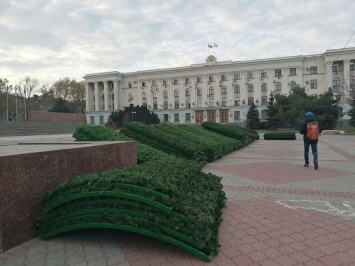 В центре Симферополя начали устанавливать новую новогоднюю елку, - ФОТО