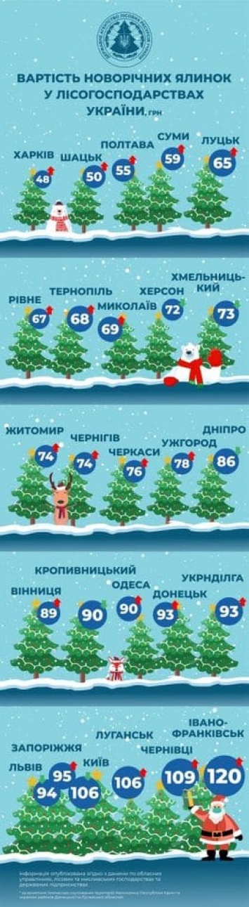 Готовимся к праздникам: какая будет стоимость новогодних елок в Украине