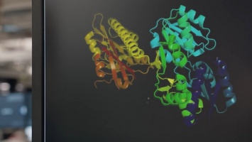 Искусственный интеллект смог решить проблему сворачивания белков, над которой биологи трудились около 50 лет