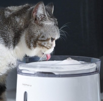 Xiaomi показала диспенсер воды для домашних животных