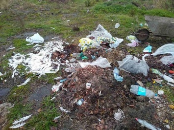 Пастбище в Мелитопольском районе захламили мусором (ФОТО)