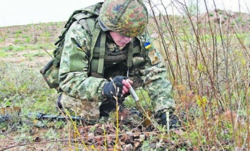 В Запорожской области обезвредили 68 взрывоопасных предметов