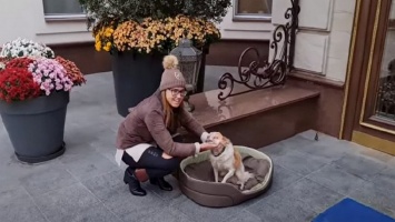 Год спустя: невероятная история слепой собаки из Никополя, которую приютила Оксана Марченко