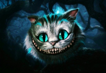 Курьез: в Запорожье живет кот, который умеет улыбаться (ФОТО)