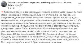 Во Львовской области заместитель директора несколько раз ударила шестиклассника. Видео