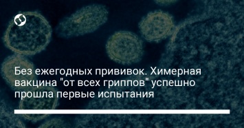 Без ежегодных прививок. Химерная вакцина "от всех гриппов" успешно прошла первые испытания