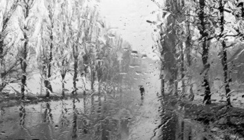 В Запорожской области ухудшится погода: объявлено штормовое предупреждение, - ГСЧС