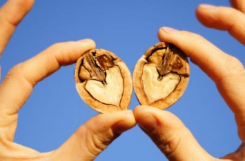10 причин добавить в свой рацион грецкие орехи