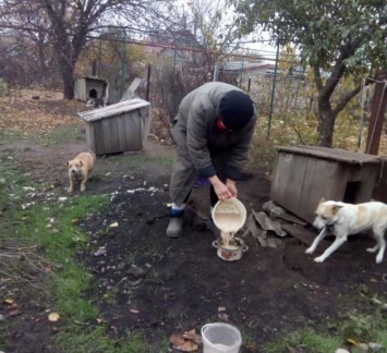 «Жюля заболела»: кормилица 35 собак из Вольногорска просит о помощи