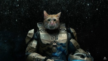 Мастер Чиф оказался котом: режиссер «Тора» и «Кролика Джоджо» Тайка Вайтити снял рекламу Xbox Series X