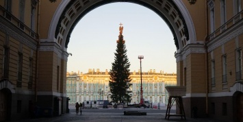 Петербуржцы возмутились облезлой елкой на Дворцовой площади за 13 млн
