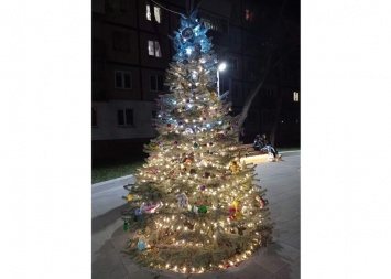 На проспекте Калнышевского украсили веселую «райончиковую» елку (ФОТО)