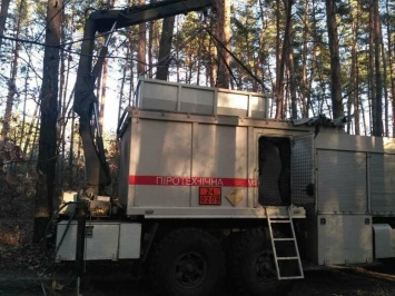 В Харькове местная жительница во время прогулки с собакой нашла боеприпасы, - ФОТО