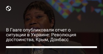 В Гааге опубликовали отчет о ситуации в Украине: Революция достоинства, Крым, Донбасс