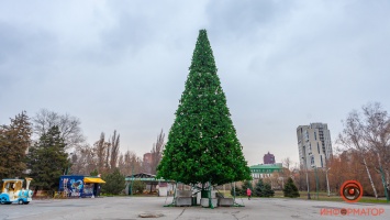 В Днепре в парке Глобы начали собирать елочку