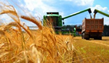 Рада снизила ставку НДС на поставки отдельных видов сельхозпродукции
