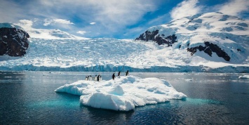В Антарктиде нашли спасение мира от затопления