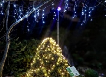 В Запорожском ботаническом саду царит праздничная атмосфера (фото, видео)