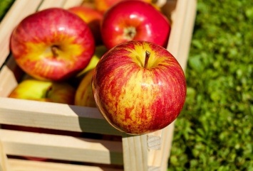 В Красногвардейском районе задержали пьяного водителя с полной машиной ворованных яблок