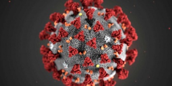 Новый штамм коронавируса в Великобритании может распространяться быстрее