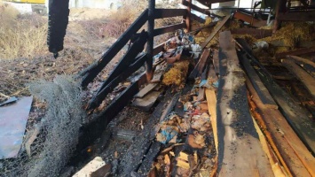 На территории храма в Одессе вспыхнул пожар: фото