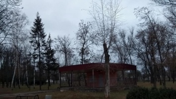 Жители окраины Кривого Рога - города без окраин просят восстановить местный парк