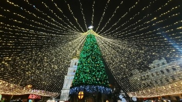 Очень похожи: в сети нашли сходство главной елки в Киеве с елкой в Москве, ФОТО