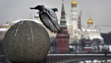 Россия вручила ноты некоторым послам ЕС и расширила свои «санкции»
