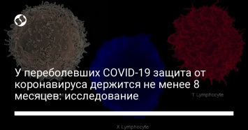 У переболевших COVID-19 защита от коронавируса держится не менее 8 месяцев: исследование