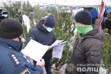 В Харькове полиция проверяет законность торговли новогодними елками