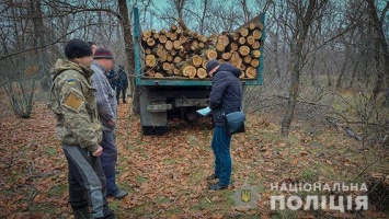 На Николаевщине поймали банду лесорубов (ФОТО, ВИДЕО)