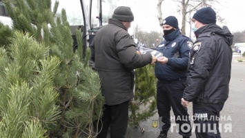 В Николаеве полиция пошла на рынки за чипированными елками. Что нашли? (ФОТО)