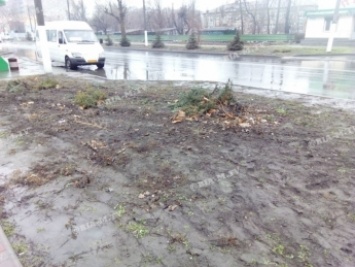 В Мелитополе автомобиль снес голубую ель (фото, видео )