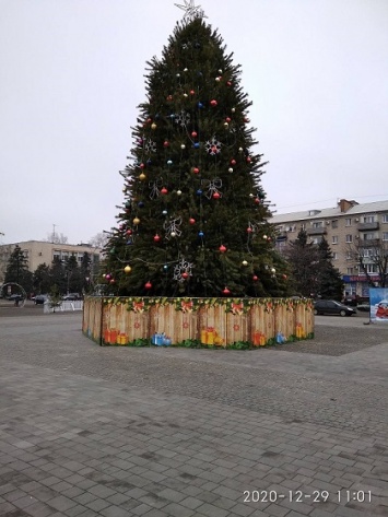 В новогоднюю ночь в Павлограде поедут дополнительные автобусы (расписание движения)
