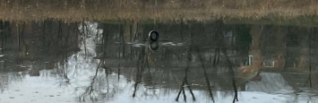 В Кривом Роге на пляже у высыхающего пруда горожане ищут драгоценности