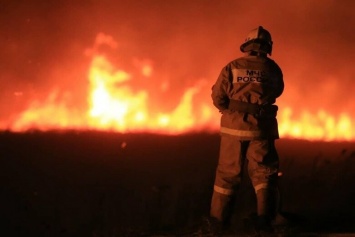 Масштабный пожар под Мариуполем забрал жизни двух людей