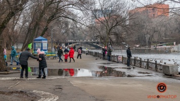 Утки вернулись в озеро с тротуара: в парке Глобы в Днепре продолжаются работы