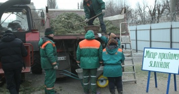 В Киеве начали принимать новогодние елки
