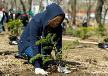 Вместо сломанных: запорожцы хотят высадить новые деревья в сквере Яланского