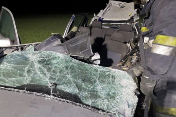 Трагическая смерть на трассе: тело водителя вырезали из покореженного авто (ФОТО, ВИДЕО)