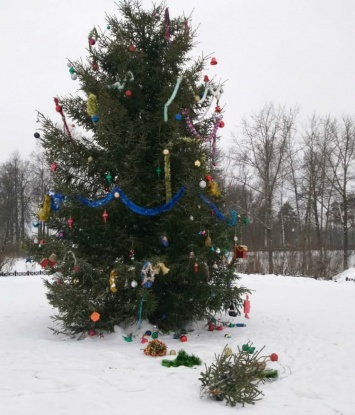 Под Ярославлем пьяный россиянин рухнул с городской елки, пытаясь достать с верхушки звезду. Видео