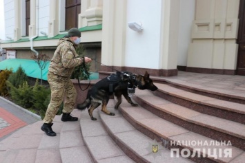 Полиция Запорожской области переведена на усиленный режим службы: названа причина