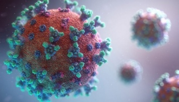 В Японии обнаружили еще один вариант коронавируса