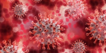 Новую мутацию коронавируса выявили в Японии