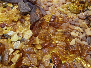 В Ровенской области в 2020 году изъяли почти 3 тонны янтаря - прокуратура