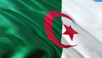 Украина и Алжир проведут новые раунды деловых переговоров в феврале-марте