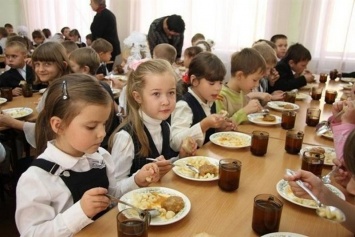 Депутаты Николаевского горсовета создали рабочую группу, которая разберется с оплатой питания в младших классах школ и детсадах