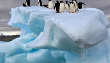 Украинские ученые предрекут изменение климата в Антарктиде и Арктике